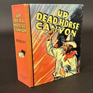 Vintage 1940 UP DEAD HORSE CANYON 1189 Big Little Book SAALFIELD PUBLISHING - Picture 1 of 8