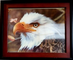 Stunning Eagle 3D Three-Dimensional Picture Wall Art Home Decor Framed 19" Mint - Picture 1 of 8