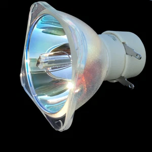Bombilla de repuesto para proyector Optoma HD27 HD142X BL-FU195C - Imagen 1 de 10