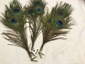 BEAUTIFUL NATURAL PEACOCK FEATHERS ( 3 ) with clips MADE IN GERMANY  - Picture 1 of 3