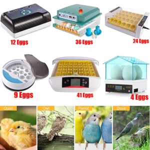 Eggs Incubator Chicken Quail Hatcher Incubators Automatic/Manual Hatching Eggs - Picture 1 of 78