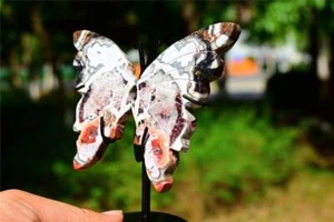 5'' Natural Mexican agate Butterfly Wing hand carved Reiki Crystal decor 1pc - Picture 1 of 10