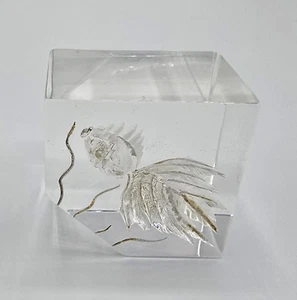 Vintage Fish Paperweight Lucite Acrylic Etched Ocean Sea - Picture 1 of 3