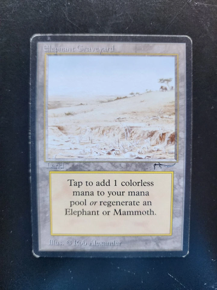 Elephant Graveyard Magic: The Gathering MTG  x1 Arabian Nights Lightly Played - Image 1 of 3