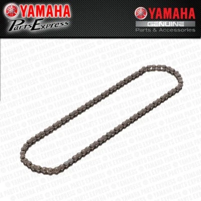 NEW 2009 - 2014 YAMAHA YZF-R1 YZF R1 YZFR1 OEM OIL WATER PUMP DRIVE CHAIN - Image 1 of 4