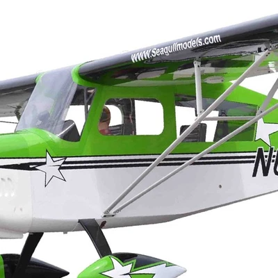 Seagull  SEA-314 122" Decathlon Front & Side Canopy Windows - Green - Image 1 of 2