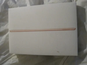 Originale Apple iPad 8a generazione 32 GB ~ SCATOLA oro rosa con SOLO documenti ~ LBDLB - Foto 1 di 5