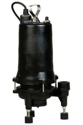 Bomba amoladora Champion 2HP 230V tapa externa arranque cabezal estándar flotador incluido Foto 1 de 3