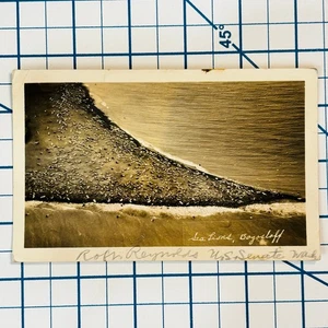 RPPC 1938 Vintage Alaska Sea Lions Bogosloff Aerial Photo Postcard Unalaska - Picture 1 of 3