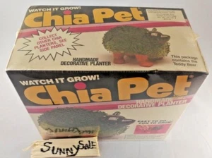 OSO DE PELUCHE MASCOTA CHIA 1982 DE COLECCIÓN SELLADO DE FÁBRICA RARO 1990 GERMINACIÓN - Imagen 1 de 8