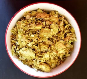 30g Hops (Humulus Lupulus) Dried Loose Flowers Herb Herbal Tea Sleep Aid Anxiety - Picture 1 of 2