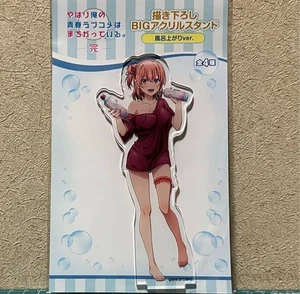 Figura de pie acrílico My Teen Romantic Comedy SNAFU Yui Yuigahama Don Quijote JPN - Imagen 1 de 1