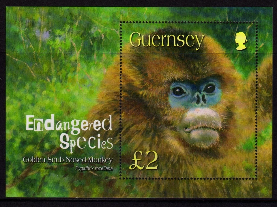 Guernsey 2003 Endangered Species (1st Series) Monkey SG MS1016 MNH - Image 1 of 1