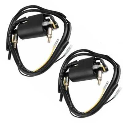 2x BOBINAS DE ENCENDIDO PARA YAMAHA YZF-R1 R1 YZFR1 1998-2001 Foto 1 de 4