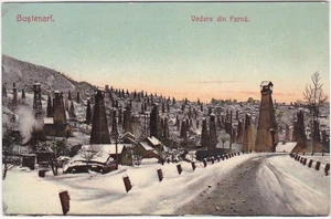 BUSTENARI - ROMANIA - OIL WELLS - VEDERE DIN FARNA -20388- - Picture 1 of 1