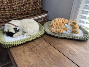 Perfect Petzzz Plush Sleeping Toy Pets - Orange Tabby Cat and Pug - Picture 1 of 10