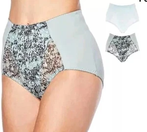 💘SMALL Rhonda Shear PANTY Mesh Detail SILKY NLYON STRETCH Brief Beige panties - Picture 1 of 3