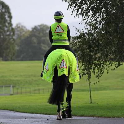 Shires Equi Flector Mesh Exercise Sheet - Yellow - Image 1 of 2