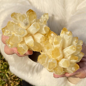 1.52LB Natural best yellow crystal ore cluster flower healing specimen