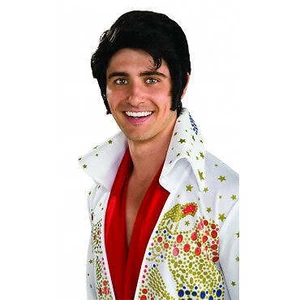 Elvis Wig - Picture 1 of 1