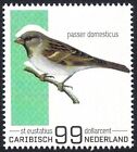Karibik Niederlande 2022 - St. Eustatius - Vogel - Hausspatz