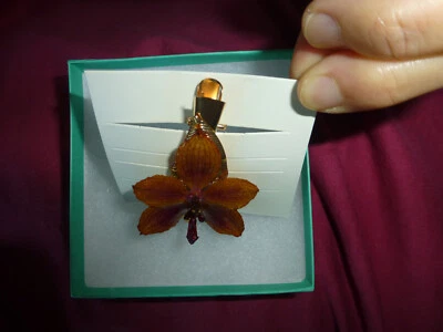Phalaenopsis Real Phal. Orchid Preserved Flower Gold Tone Hair Clip - Image 1 of 4