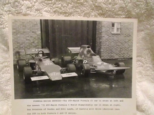 "Coches de colección The STP March de Fórmula I y II de la década de 1970 ~ 8.0"" x 10.0" - Imagen 1 de 9