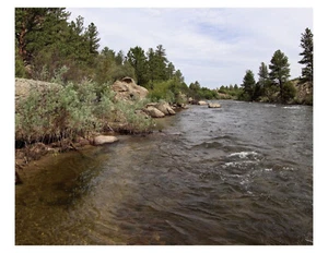 "Foto del río Arkansas - Colorado 8x10 en 8,5"" x 11" - Imagen 1 de 1
