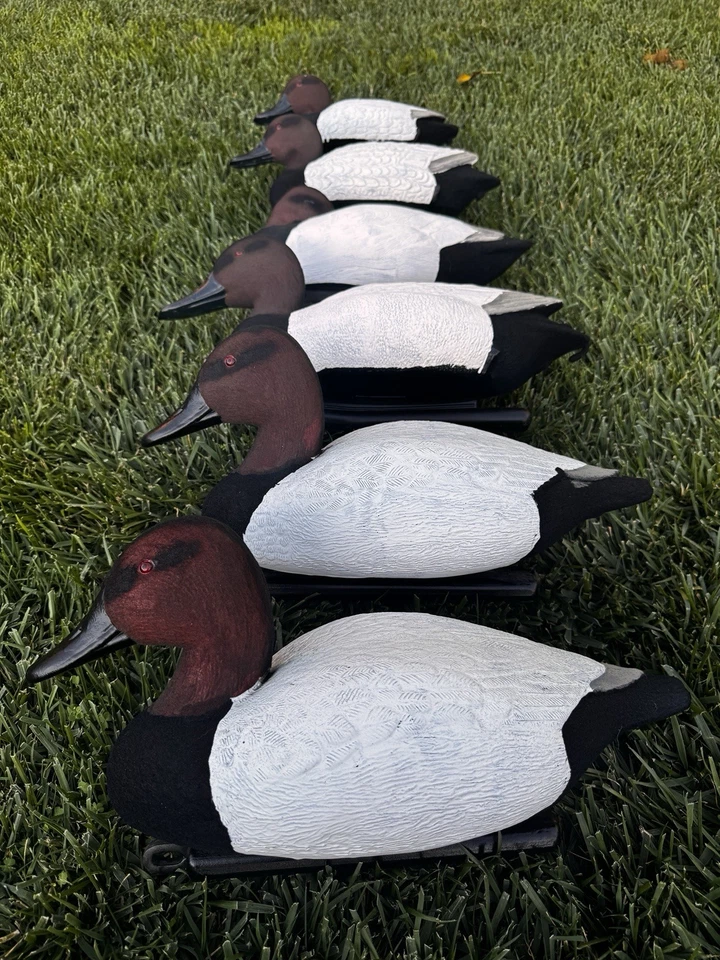 Flocked  Custom Canvasback Duck Floating Decoys Hyper Realistic - Image 1 of 1
