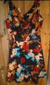Pepperberry Dress Red Black Floral Rose Fit Flare V Neck Sleeveless Curvy UK 12 - Picture 1 of 3