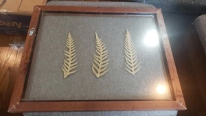 Pre-owned tropical fern Leaf glass Pressed wood frame Botanical Art Home Decor - Picture 1 of 11
