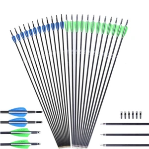 12Pcs 30inch Carbon Arrows SP500/1000 Archery Hunting for Compound & Recurve Bow - Picture 1 of 16