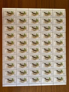Canada Stamp Sheet/Pane - 1969 25-cent BIRDS UT 498 VFMNH Stock Pane of 50 - Picture 1 of 1