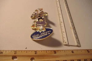 ~INDIAN~MD-21 1996~ARIZONA MONTREAL ~LIONS PIN~ - Picture 1 of 2