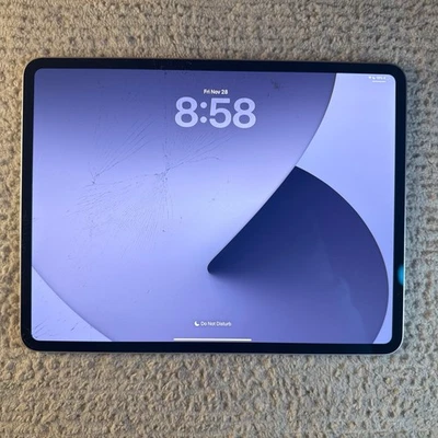 Apple iPad Pro 13 inch M4 WiFi only Silver *Cracked Screen* charging/ box Bundle - Image 1 of 4