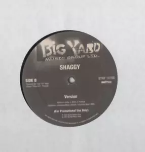 Shaggy Church Heathen Limited Edition Promo Vinyl LP - Imagen 1 de 2