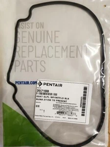 OEM WhisperFlo-IntelliFlo Seal Plate Gasket Replaces 357100 357100Z Black - Picture 1 of 1