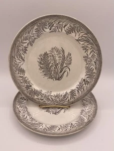 Antique Grey And White Transferware 9 1/2" Plates (2) - Picture 1 of 3