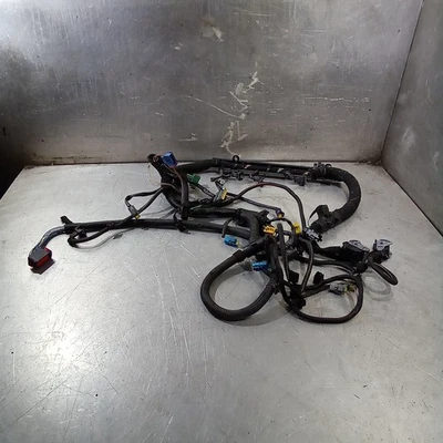 Peugeot 206 GTI RC 1999-2006 Gti 180 EW10J45 Engine Injector Wiring Loom Harness - Image 1 of 4