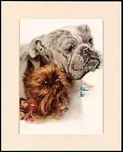 BRÜSSEL GRIFFON UND BULLDOGGE CHARMANTER HUNDEDRUCK MONTIERT RAHMENFERTIG - Bild 1 von 1