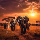 Wandbild Afrika Elefanten Sonnenuntergang Deko Bild Tiere Dekofliese Mitbringsel