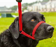 Gencon All in One, Dog Headcollar and Lead all in one-BLACK