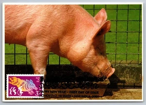 3895l Chinese Lunar New Year Boar FDC Maxi Card - Picture 1 of 2