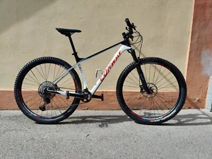 Fahrrad Herren mountain bike 29 zoll - Bild 1 von 10