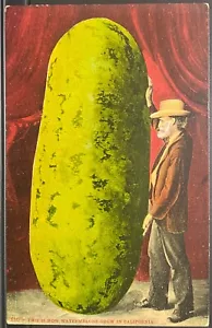 TARJETA POSTAL EXAGERADA ~ Hombre y Sandía Gigante ~ CÓMO CRECEN LAS SANDÍAS EN CALIFORNIA - Imagen 1 de 2