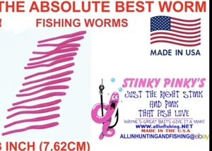 100ct The Famous Amazing Stinky Pinky’s Fishing Worms - Picture 1 of 19