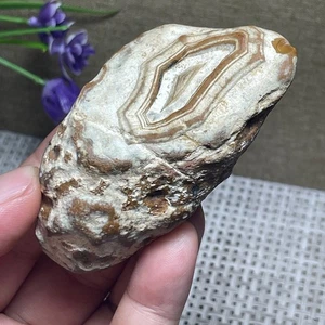 Bonsai Suiseki natural 105 g - ojos de ágata Gobi natural piedra - raro impresionante a2957 - Imagen 1 de 8