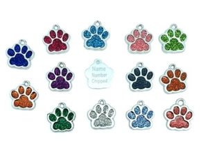 Graviertes Hundeetikett personalisierte Ausweisschilder Namensscheibe Haustier Katze Etiketten Tier Katze Halsband  - Bild 1 von 16