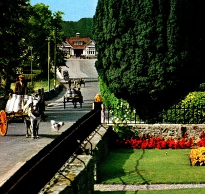 Vintage Postcard Village Of Adare County Limerick Ireland Horse Cart c1964 - Image 1 of 3