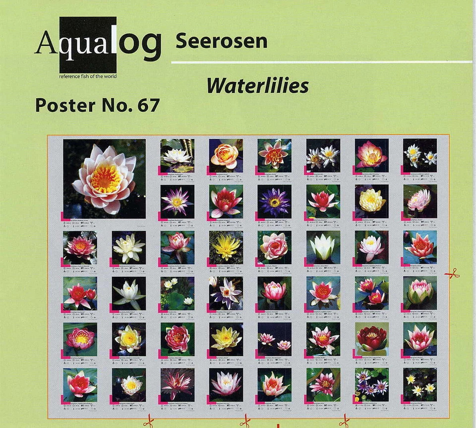 AQUALOG - Fold Poster The Most Beautiful Waterlilies - Image 1 of 1